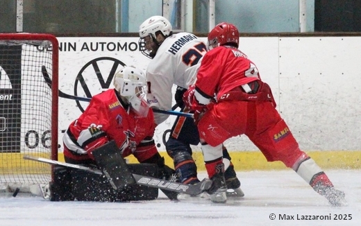 Photo hockey Division 2 - Division 2 : 13ème journée : Valence vs Clermont-Ferrand - Une belle et précieuse victoire !