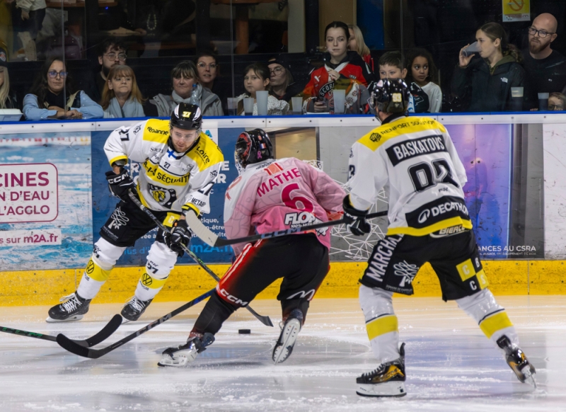 Photo hockey Division 2 - Division 2 : 1ère journée : Mulhouse vs Roanne - Roanne gâche la fête à Mulhouse pour la première journée