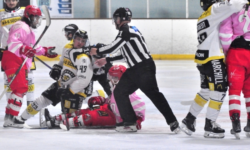 Photo hockey Division 2 - Division 2 : 3ème journée : Valence vs Roanne - Roanne, qui voyage bien, fait trébucher Valence