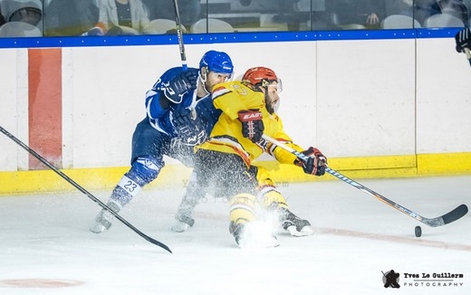 Photo hockey Division 2 - Division 2 : 4ème journée : Paris (FV) vs Meudon - Retour en images