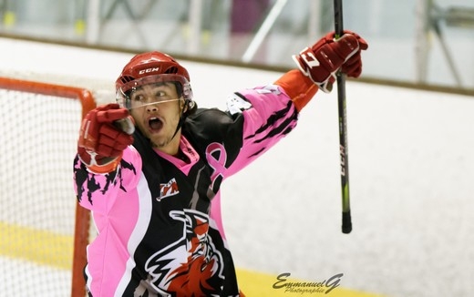 Photo hockey Division 2 - Division 2 : 4ème journée : Valence vs Limoges - Intraitable à la maison