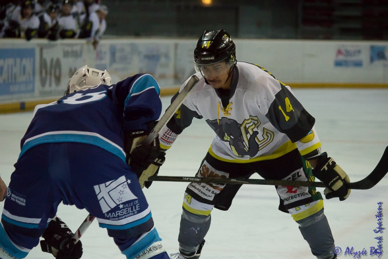 Photo hockey Division 2 - Division 2 : 7ème journée : Marseille vs Chambéry - Les Eléphants au forceps