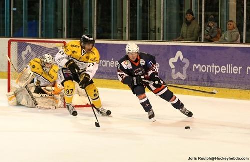 Photo hockey Division 2 - Division 2 : 7ème journée : Montpellier  vs Roanne - Le Renard et la Vipère