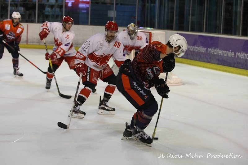 Photo hockey Division 2 - Division 2 : 7ème journée : Montpellier  vs Valence - D2 - Carton plein pour les Vipers