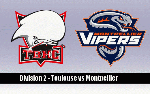 Photo hockey Division 2 - Division 2 : 8ème journée : Toulouse-Blagnac vs Montpellier  - La piqûre des Vipers