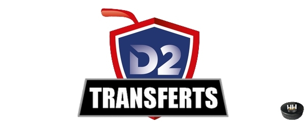 Photo hockey Division 2 - Division 2 - D2 - TRANSFERTS 2026-2027