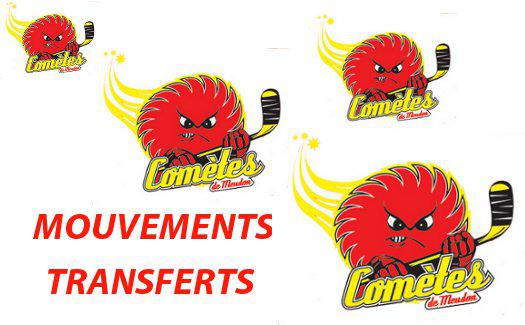 Photo hockey Division 2 - Division 2 : Meudon (Les Comètes) - Mouvements chez les Comètes