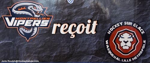 Photo hockey Division 2 - Division 2 - Play-off , huitième de finale, match retour : Montpellier  vs Wasquehal Lille - D2 : Les Vipers en quart de finale