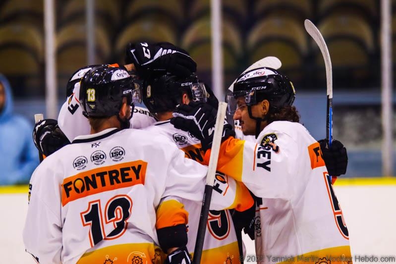 Photo hockey Division 2 - Division 2 : Roanne (Les Renards) - Roanne - Bilan de pré-saison