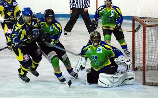 Photo hockey Division 3 - D3 : 9ème journée : Limoges vs Niort - Les Taureaux de Feu se font des frayeurs