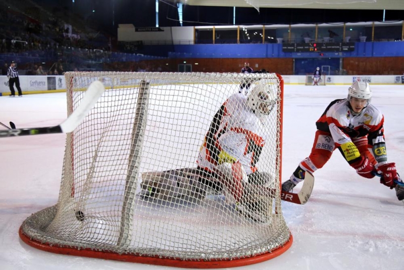 Photo hockey Division 3 - D3 - carré final - J2 : Lyon vs Dijon  - Le Lion n