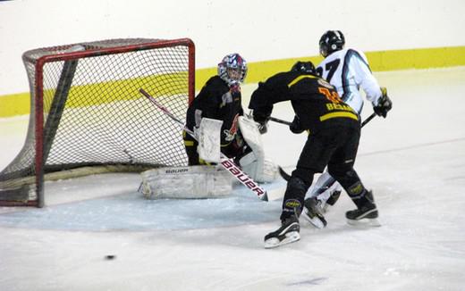 Photo hockey Division 3 - D3 : journée du 10/01/2015 : Besançon vs Dammarie-les-Lys - Solides comme des Aigles