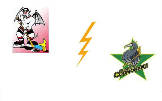 Photo hockey Division 3 - D3 : play down : Poitiers vs Rennes - Défaite Pictavienne