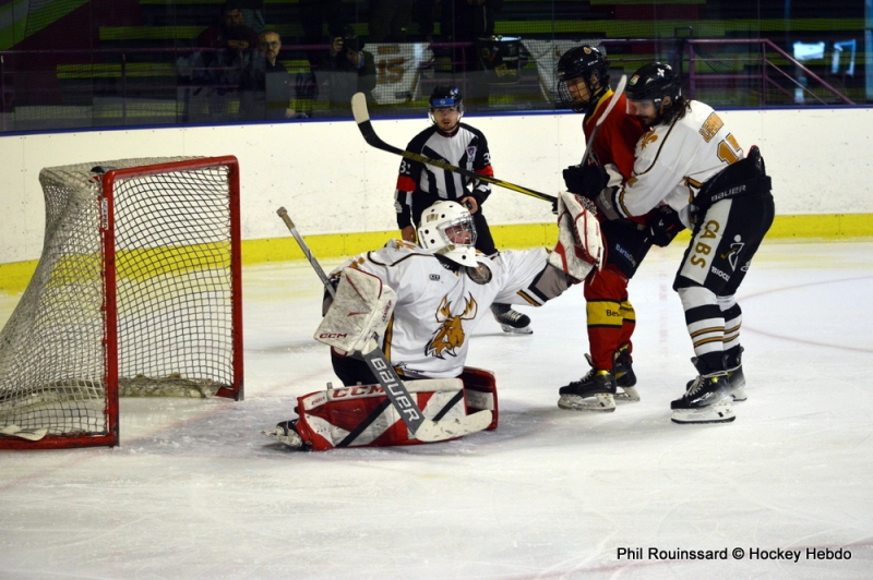 Photo hockey Division 3 - Division 3 - 1/4 de Finale - Match 2 : Besançon vs Dammarie-les-Lys - Aigles tête haute, Caribous qualifiés