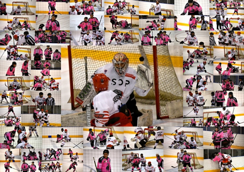 Photo hockey Division 3 - Division 3 - 12ème journée : Rennes vs Cholet II - D3 - Reportage photos