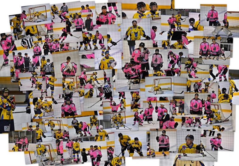 Photo hockey Division 3 - Division 3 : 14ème journée : Rennes vs Limoges - Limoges s