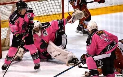 Photo hockey Division 3 - Division 3 - 18ème journée : Rennes vs Anglet II - D3 - Reportage photos - Rennes vs Anglet2