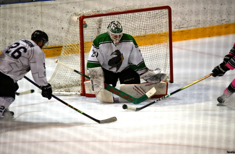 Photo hockey Division 3 - Division 3 : 20ème journée : Rennes vs Brest II - Au bout du suspense Brest brise les ailes des Cormorans
