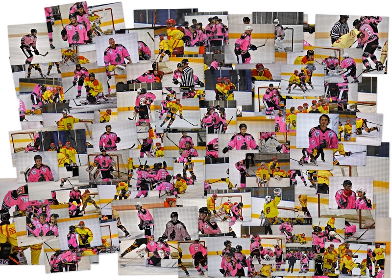 Photo hockey Division 3 - Division 3 : 4ème journée : Rennes vs Orléans - Galerie photos