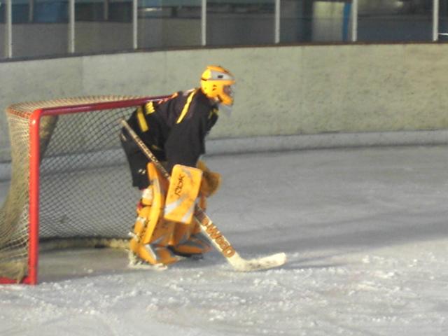 Photo hockey Division 3 - Division 3 : Besançon (Les Aigles) - D3 : Des Lions bien trop forts