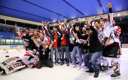 Photo hockey Division 3 - Division 3 - D3 : Bilan du carré final
