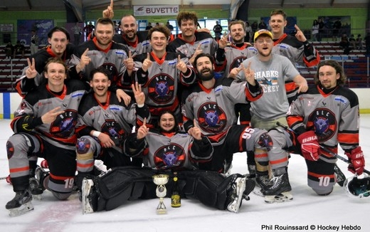 Photo hockey Division 3 - Division 3 - D3 : Tournoi des Aigles deuxième journée