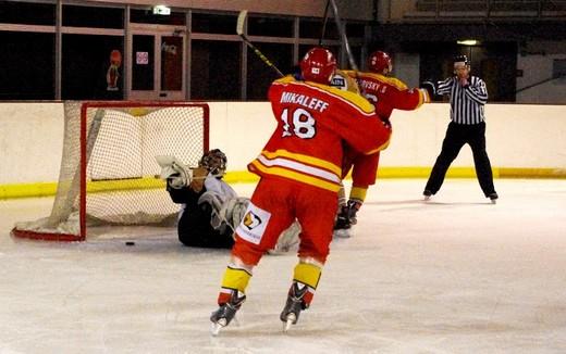 Photo hockey Division 3 - Division 3 : journée du 04 février 2017 : Orléans vs Dammarie-les-Lys - D3 : Cruelle désillusion pour les Caribous…