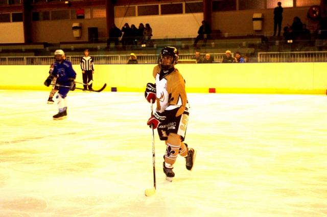 Photo hockey Division 3 - Division 3 : journée du 22 octobre 2016 : Garges-lès-Gonesse vs Dammarie-les-Lys - Les Caribous enchaînent