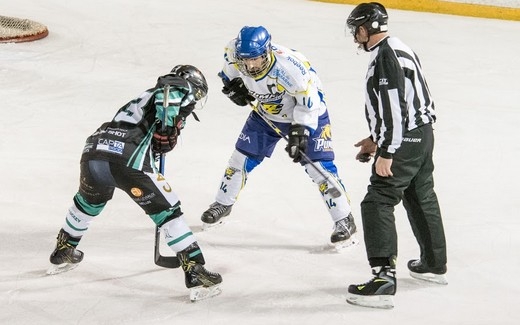 Photo hockey Division 3 - Division 3 : journée du 27 janvier 2018 : Dammarie-les-Lys vs Fontenay sous Bois - La bonne cause l’emporte