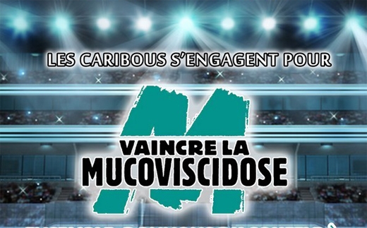 Photo hockey Division 3 - Division 3 - Les Caribous donnent du souffle à ceux qui en manque 