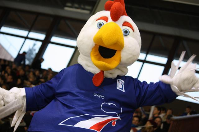 Photo hockey Equipes de France -  : France (FRA) vs Danemark (DEN) - La France s’impose à nouveau face au Danemark