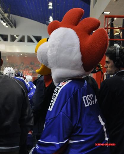 Photo hockey Equipes de France - Equipes de France - EDF à Amiens : Au bout du suspense !