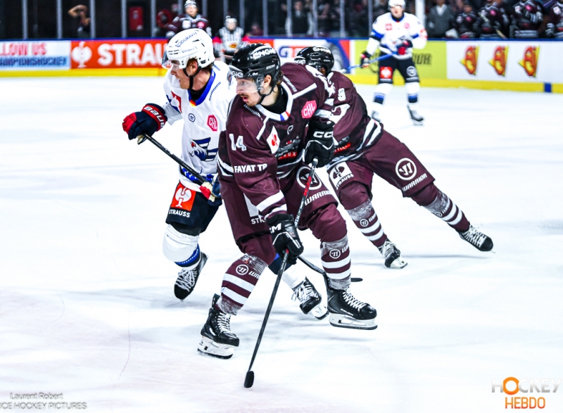 Photo hockey Europe : Continental Cup - CHL -  : Bordeaux vs Mannheim - CHL - Les Boxers cèdent après une bataille XXL face à Mannheim !