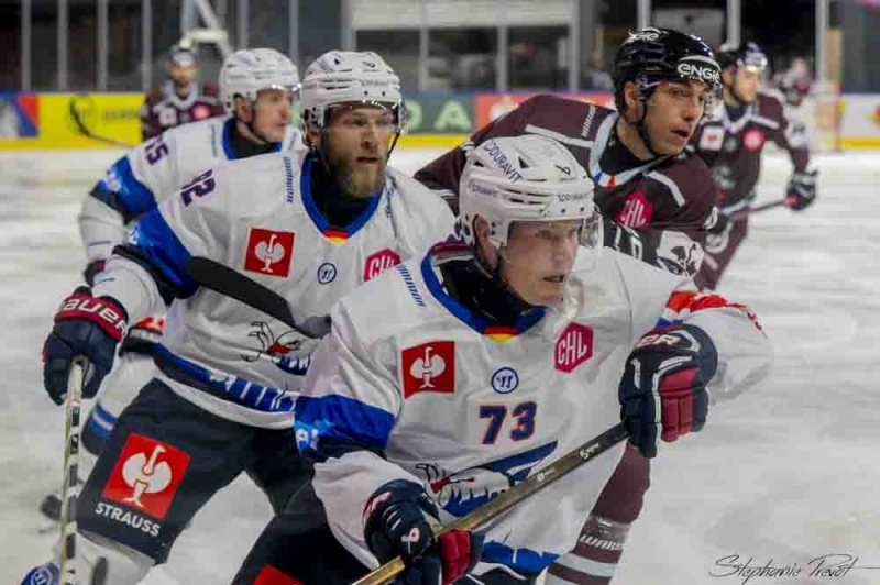 Photo hockey Europe : Continental Cup - CHL -  : Bordeaux vs Mannheim - CHL - Les Boxers cèdent après une bataille XXL face à Mannheim !