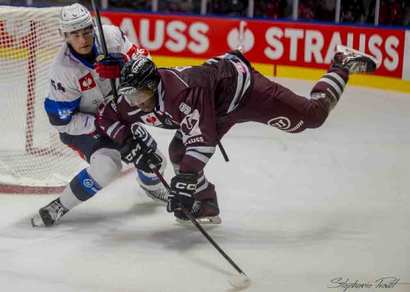 Photo hockey Europe : Continental Cup - CHL -  : Bordeaux vs Mannheim - CHL - Les Boxers cèdent après une bataille XXL face à Mannheim !
