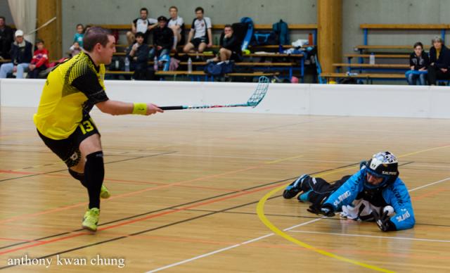 Photo hockey Floorball  - Floorball  - Floorball : Dénouement de la poule D2 Sud-Ouest