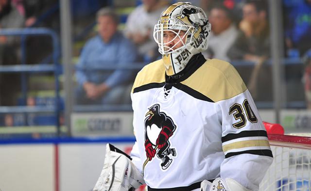 Photo hockey Hockey dans le Monde - Hockey dans le Monde - AHL : Les Griffins sur la bonne lancée