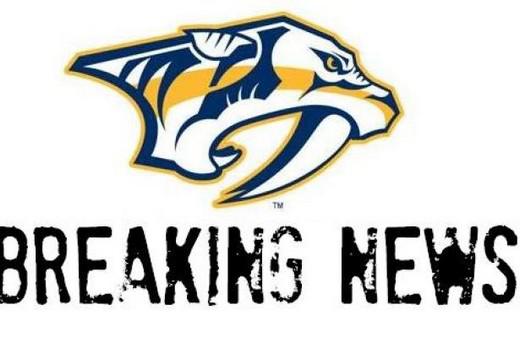 Photo hockey Hockey dans le Monde - Hockey dans le Monde - De la Magnus à la NHL !