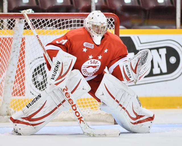Photo hockey Hockey dans le Monde - Hockey dans le Monde - OHL : Les Otters de McDavid à la fête