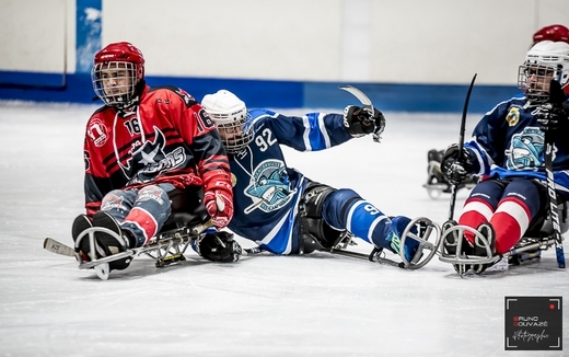 Photo hockey Hockey en France -  : Franconville vs Neuilly/Marne - Para-Hockey : Les Bisons comme des poissons dans l’eau chez les Requins