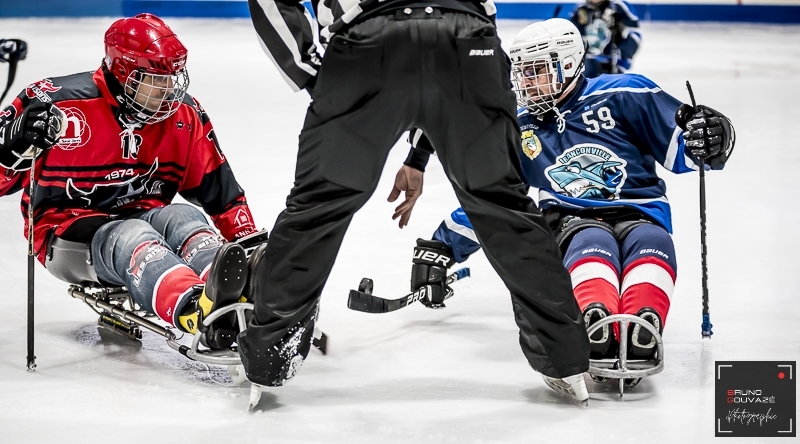 Photo hockey Hockey en France -  : Franconville vs Neuilly/Marne - Para-Hockey : Les Bisons comme des poissons dans l’eau chez les Requins