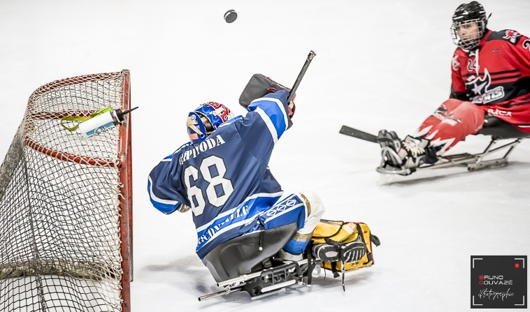 Photo hockey Hockey en France -  : Franconville vs Neuilly/Marne - Para-Hockey : Les Bisons comme des poissons dans l’eau chez les Requins