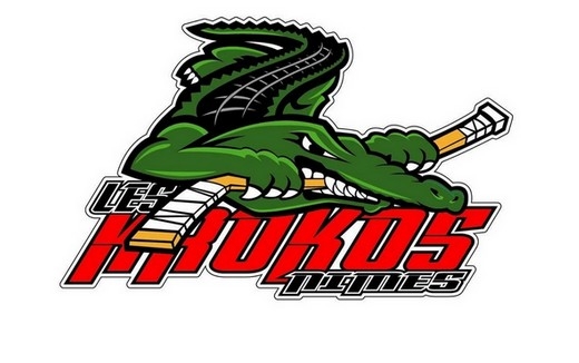 Photo hockey Hockey en France - Hockey en France -  Hâte de revoir du hockey à Nîmes !