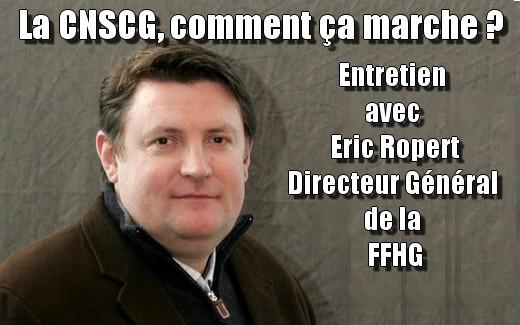 Photo hockey Hockey en France - Hockey en France - La CNSCG, comment ça marche ?