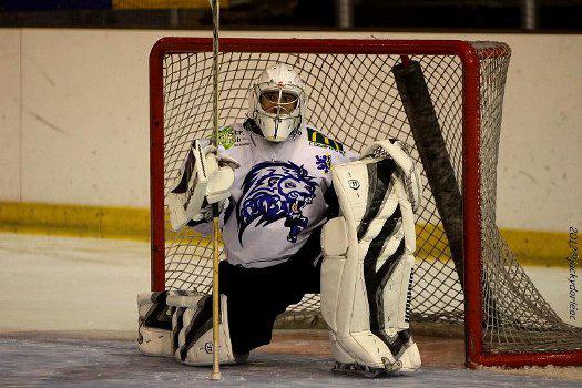 Photo hockey Hockey en France - Hockey en France - Quelques gardiens D 2 s’affichent