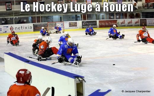 Photo hockey Hockey en France - Hockey en France : Rouen (Les Dragons) - Hockey luge à Rouen.