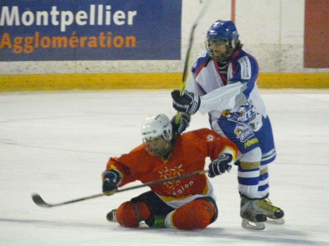 Photo hockey Hockey Féminin - Hockey Féminin : Montpellier  (Les Vipers) - Fem: Languedoc-Roussillon - Gap 