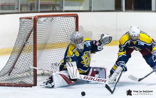 Photo hockey Hockey Féminin - Hockey Féminin - Elite Féminine - Evry Viry vs Tours