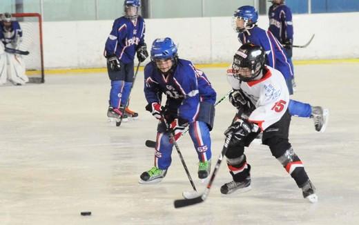 Photo hockey Hockey Mineur - Hockey Mineur : Cherbourg (Les Vikings) - Tournoi Cherbourg : Résultats et Photos