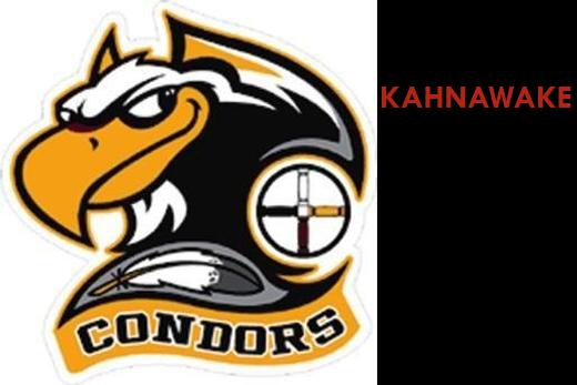 Photo hockey LHJMQ - Ligue de Hockey Junior Majeur du Québec - LHJMQ - Ligue de Hockey Junior Majeur du Québec - Kahnawake: victoire!